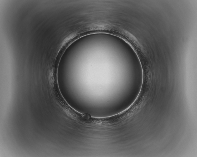 X0000116621218200912111149