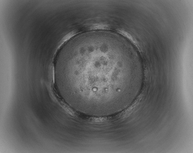 X0000116621219200912111149