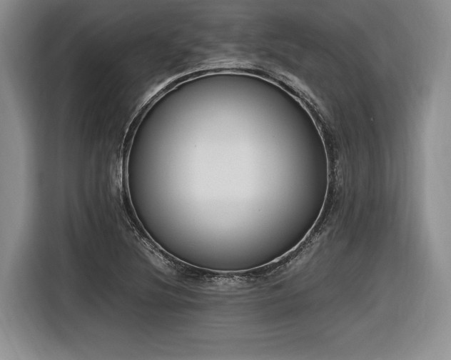 X0000116621220200912111149