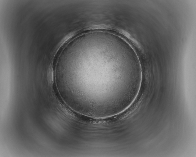 X0000116621221200912111149