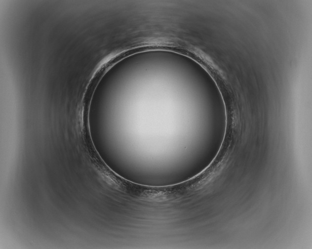 X0000116621222200912111149