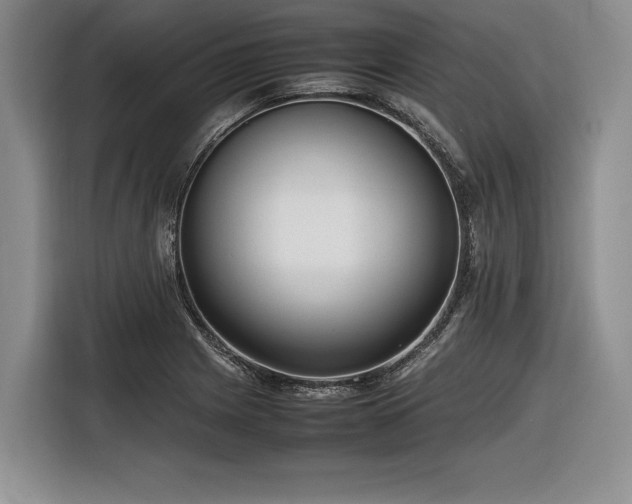 X0000116621225200912111149