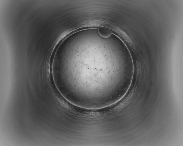 X0000116621226200912111150