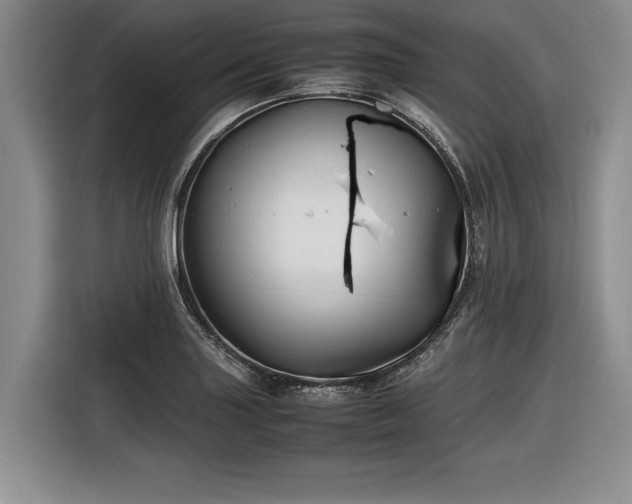 X0000116621227200912111150