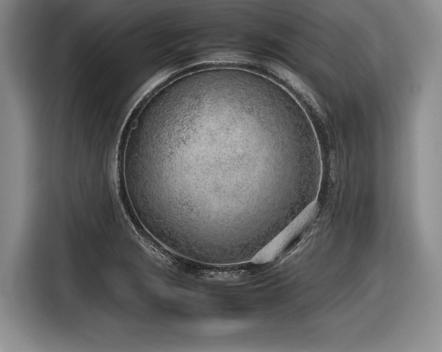 X0000116621229200912111150