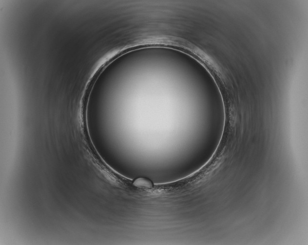 X0000116621230200912111150