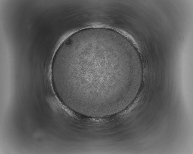 X0000116621231200912111150