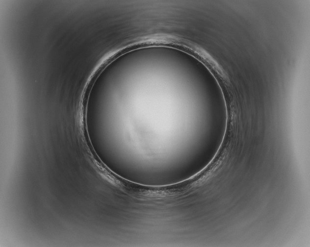 X0000116621232200912111150