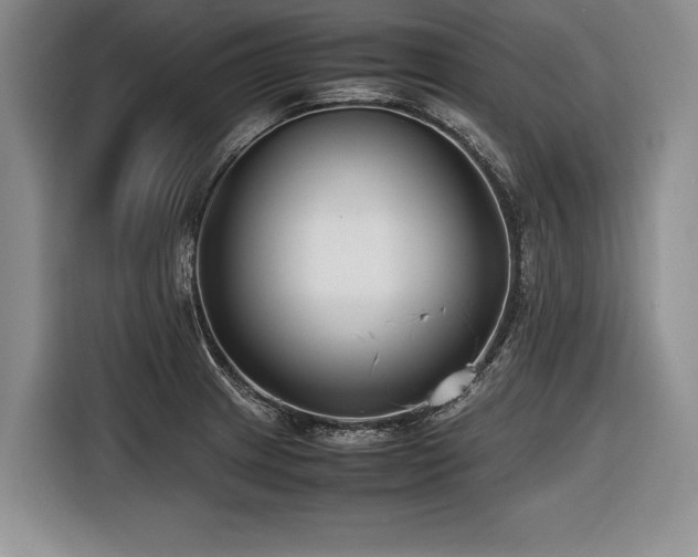 X0000116621233200912111150