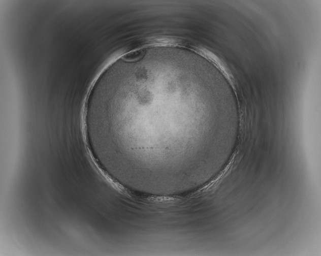 X0000116621235200912111150