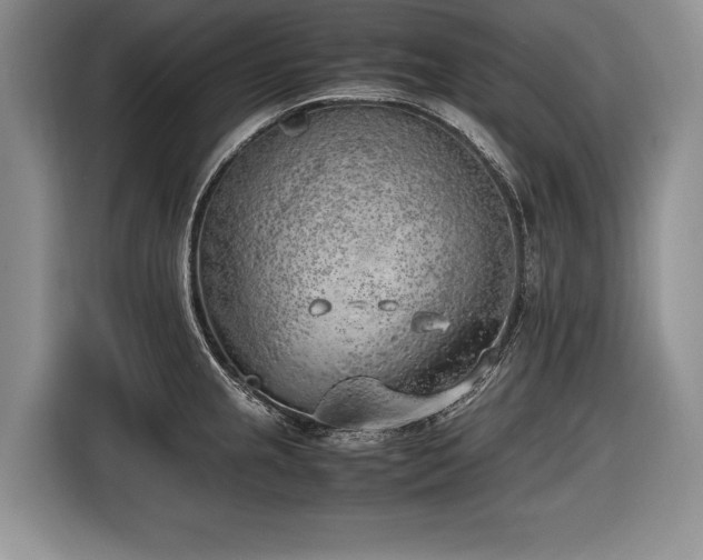 X0000116621237200912111150