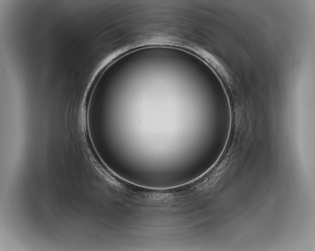 X0000116621238200912111150