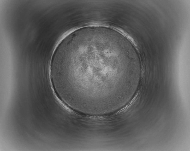 X0000116621239200912111150