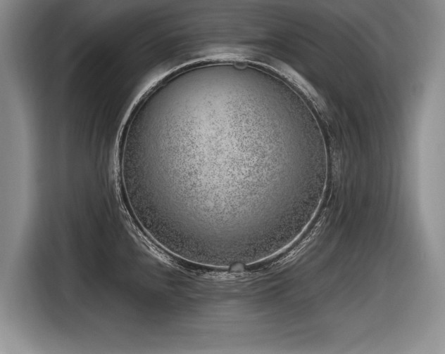 X0000116621240200912111150