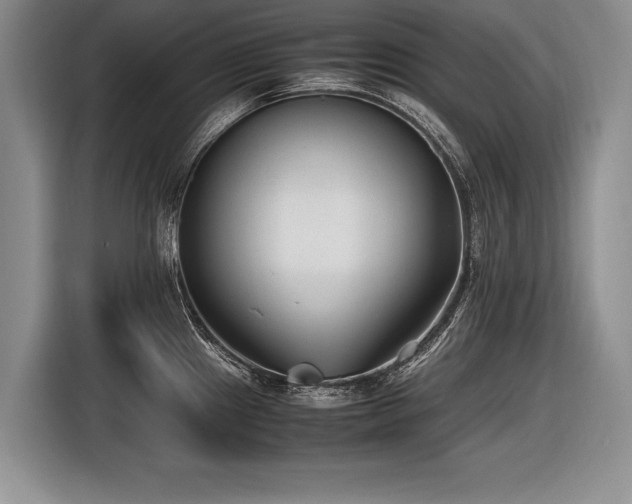 X0000116621241200912111150