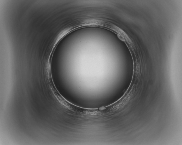 X0000116621242200912111150