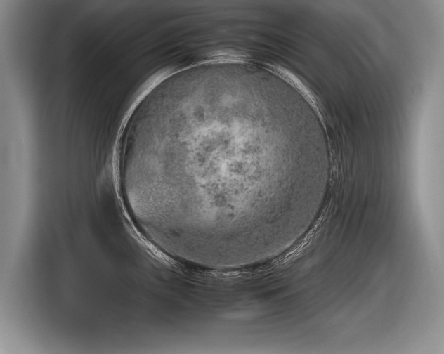 X0000116621243200912111150