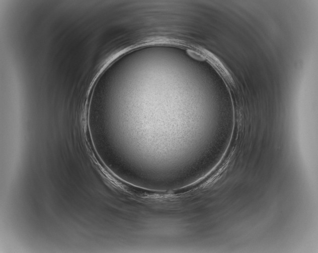 X0000116621244200912111150