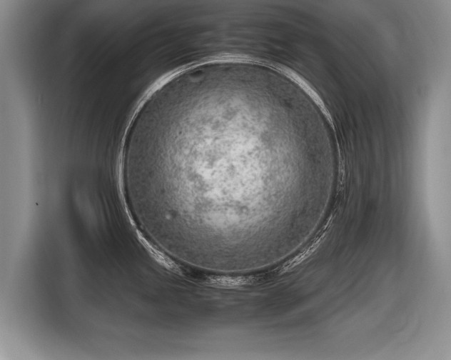 X0000116621245200912111150