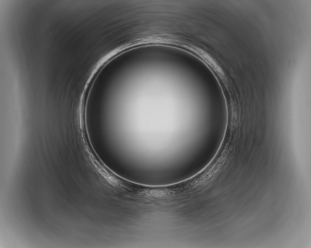 X0000116621246200912111150