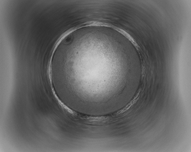 X0000116621247200912111150