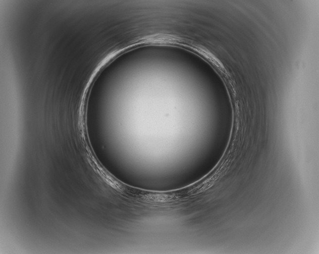 X0000116621248200912111150