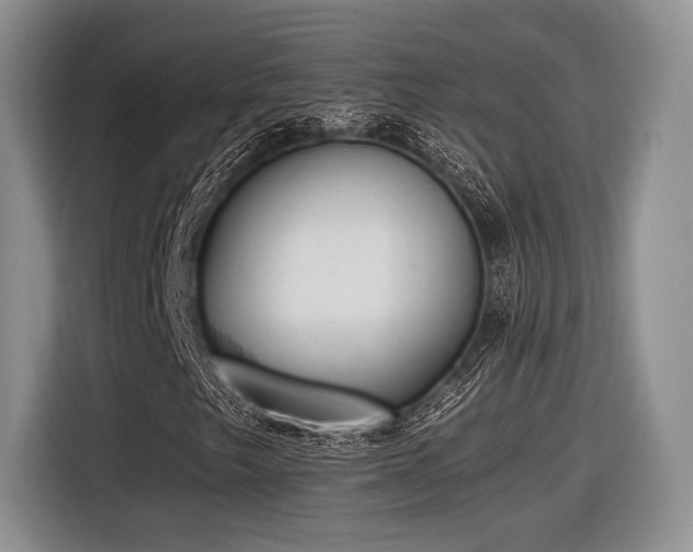 X0000116621249200912111149