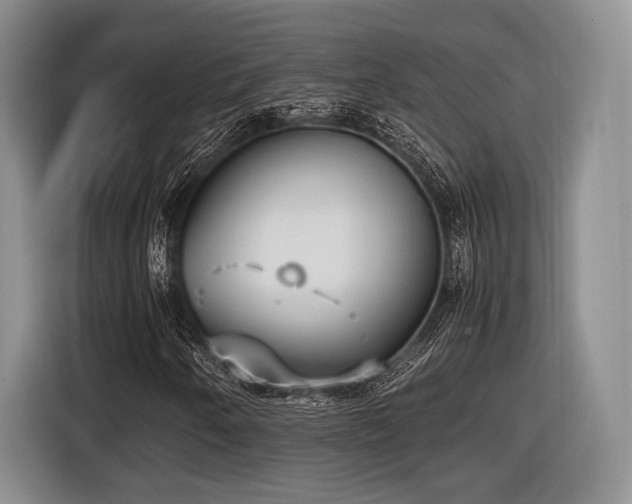 X0000116621250200912111149