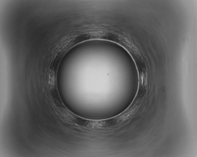 X0000116621251200912111149