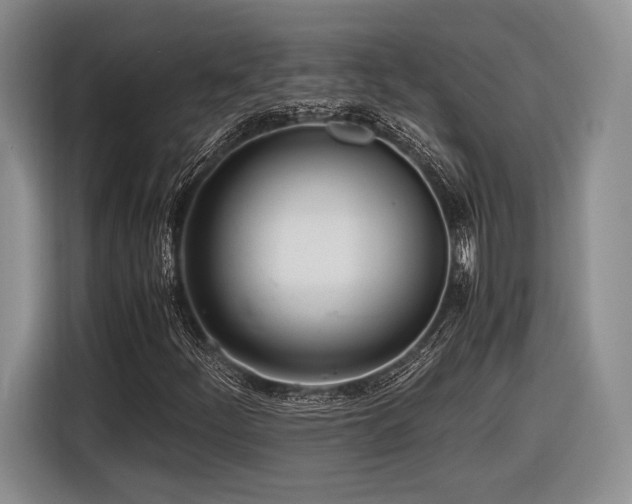 X0000116621252200912111149