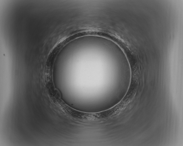 X0000116621255200912111149