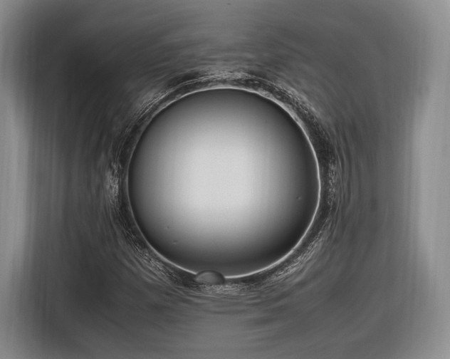 X0000116621257200912111149