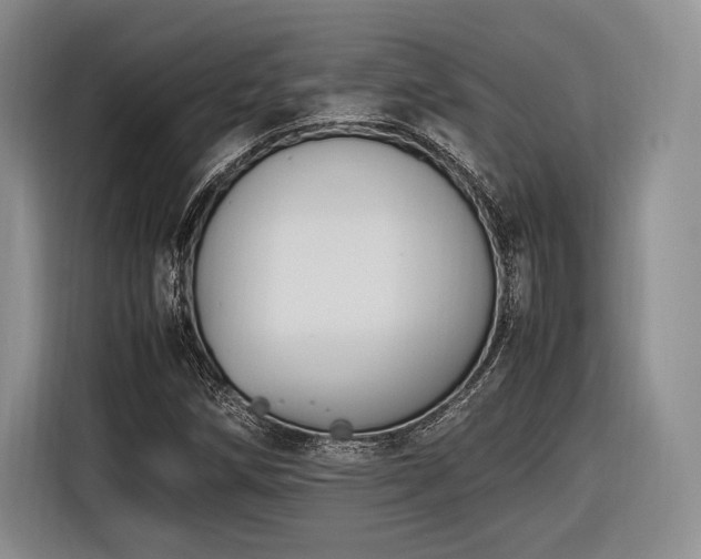 X0000116621258200912111149