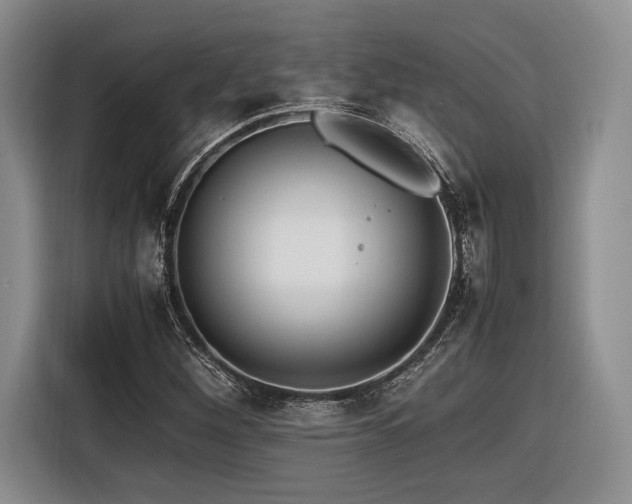 X0000116621260200912111149