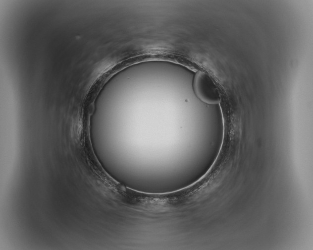 X0000116621261200912111149