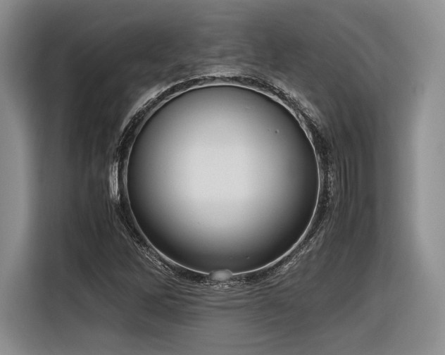 X0000116621262200912111149