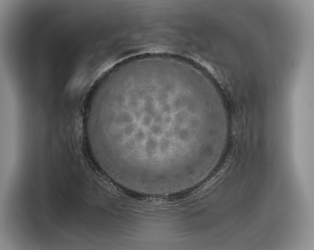 X0000116621263200912111149