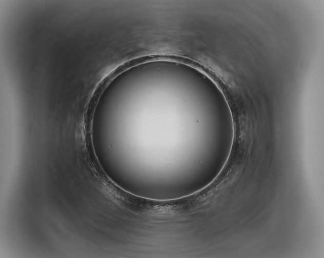 X0000116621264200912111149