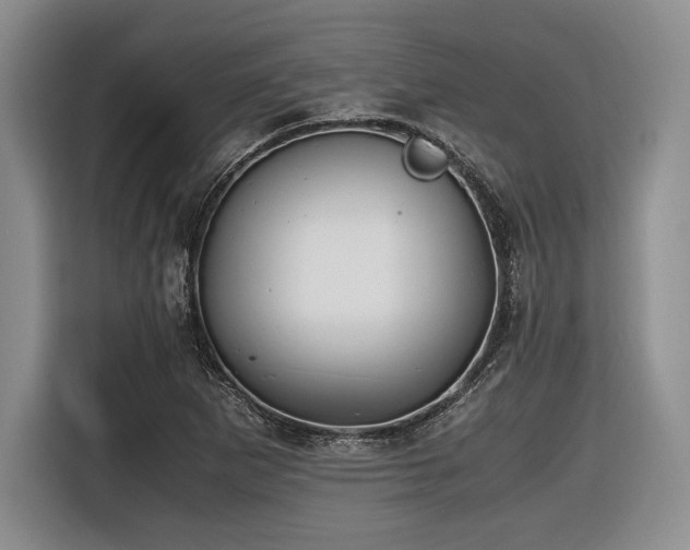 X0000116621265200912111149
