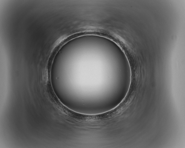 X0000116621267200912111149