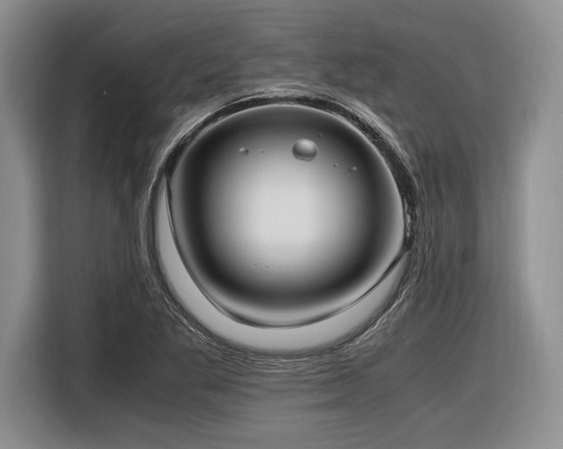 X0000116621269200912111149