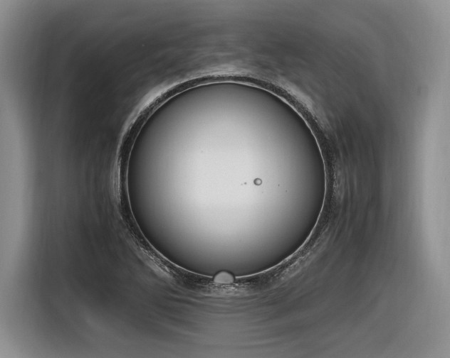 X0000116621270200912111149