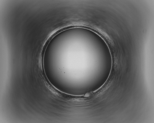 X0000116621272200912111149