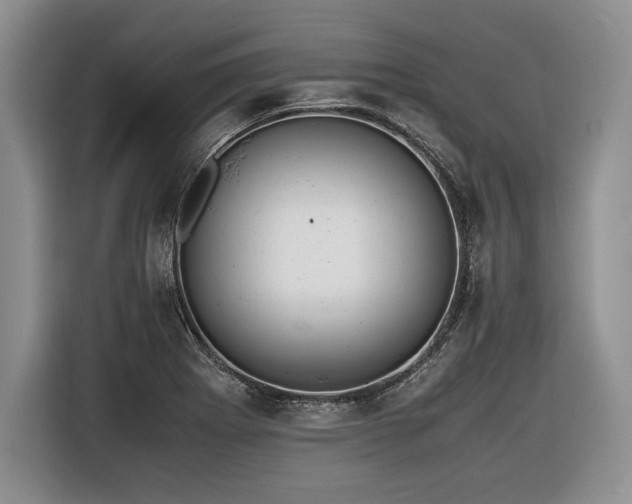 X0000116621273200912111149