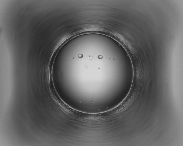 X0000116621274200912111149