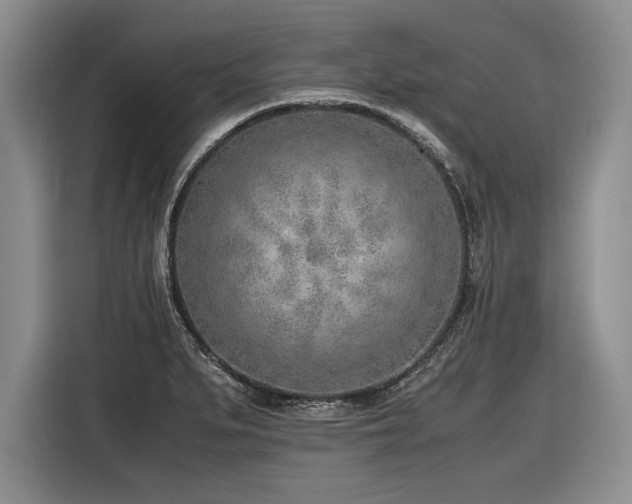 X0000116621279200912111149