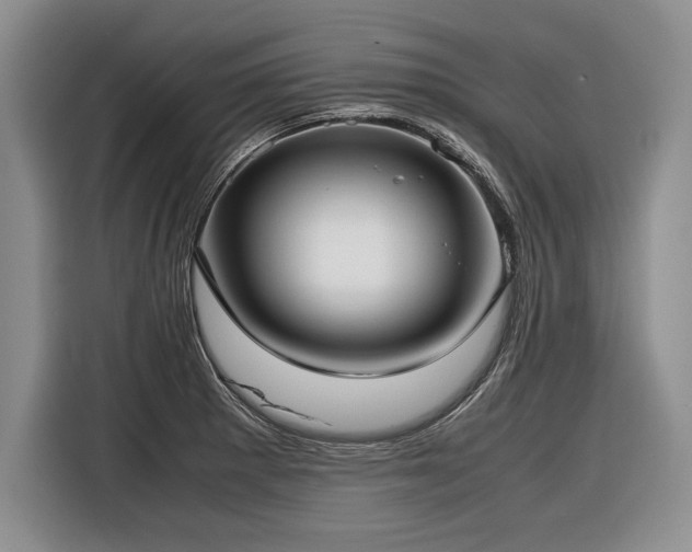 X0000116621281200912111149