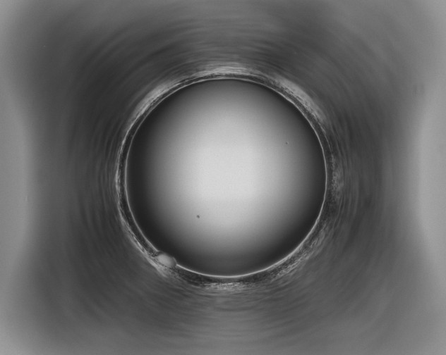 X0000116621282200912111149