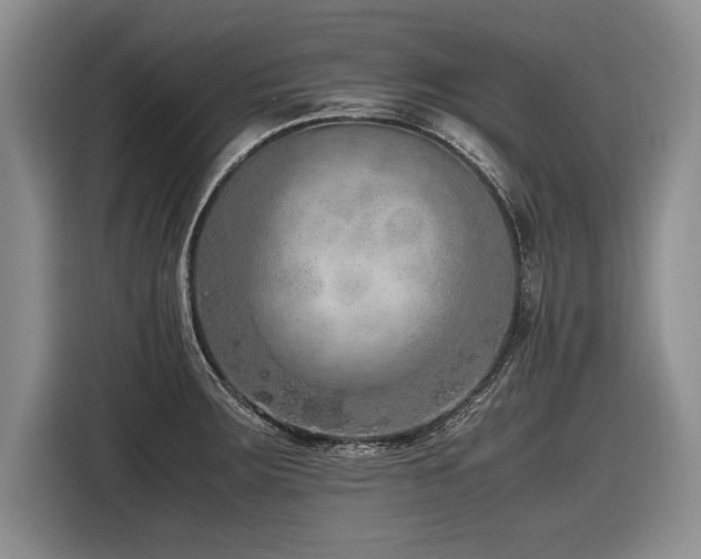 X0000116621283200912111149