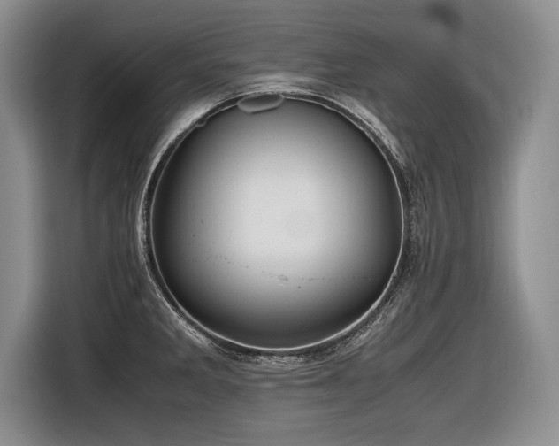X0000116621285200912111149